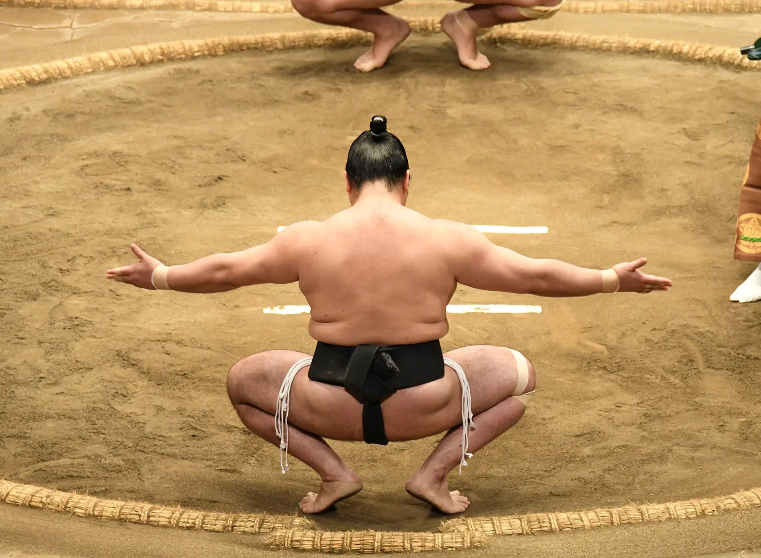 177 Grand Sumo Wrestler / Blender 3D, Sculpting by Medvedev on Dribbble