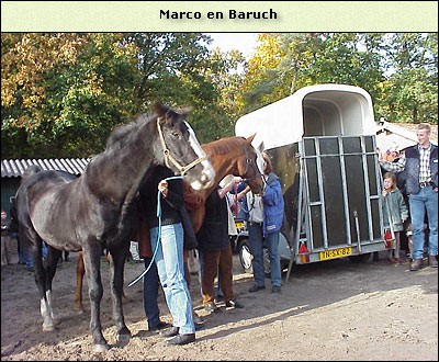 Marco