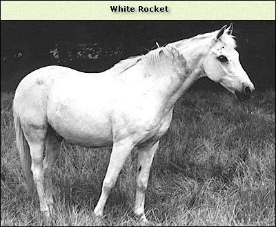 White Rocket