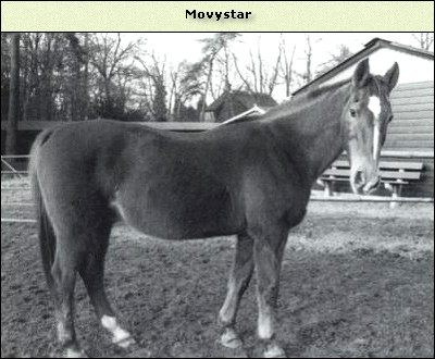Movystar