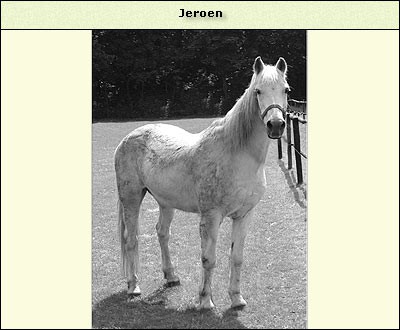 Jeroen