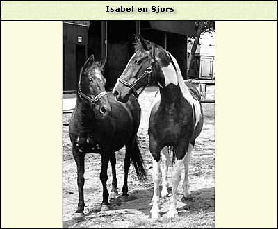 Isabel