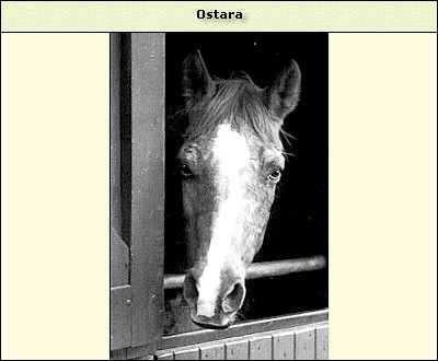 Ostara