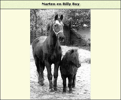 Marten (met Billy Boy)