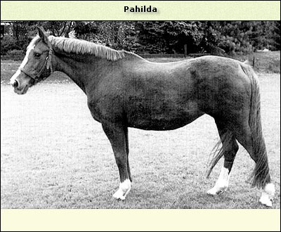 Pahilda