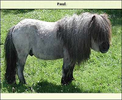 Paul