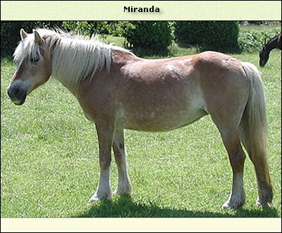 Miranda