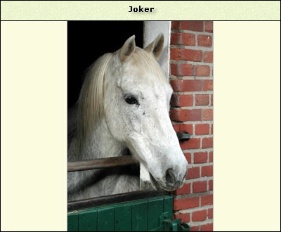 Joker