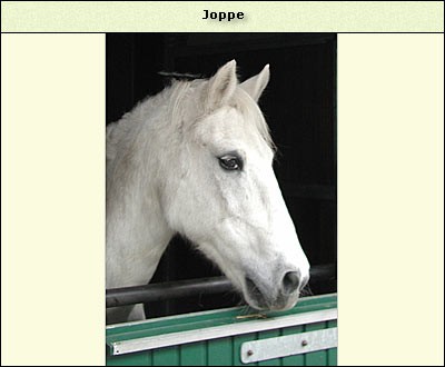 Joppe