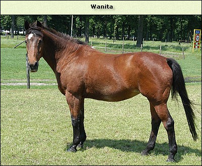 Wanita