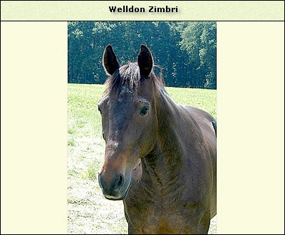 Welldone Zimbri