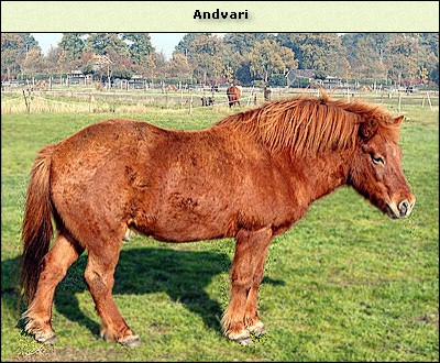 Andvari