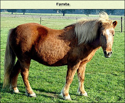 Fyrsta