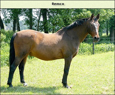 Remco
