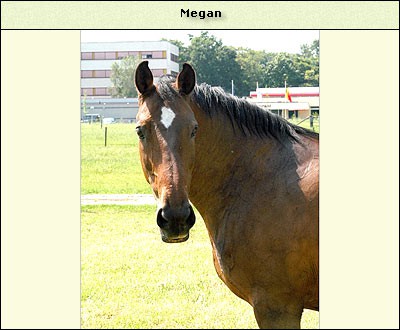 Megan