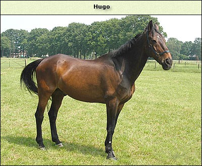 Hugo