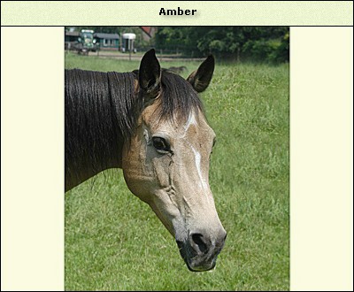 Amber