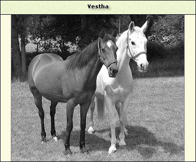 Vestha