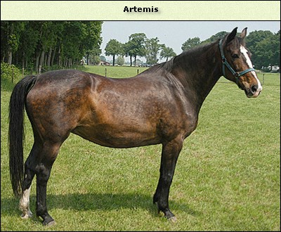 Artemis