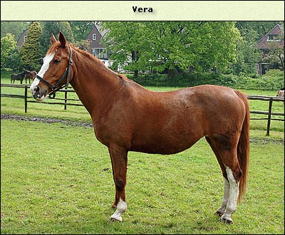 Vera