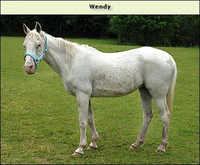 Wendy