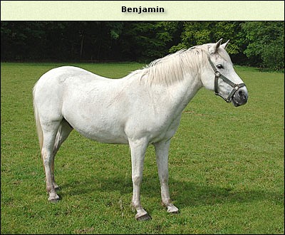 Benjamin