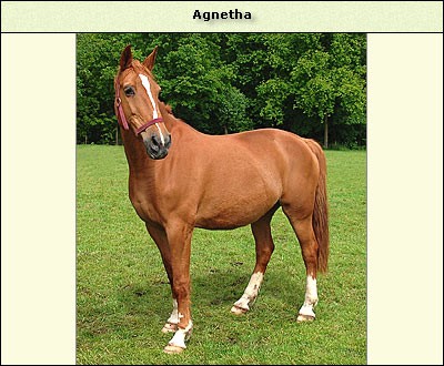 Agnetha