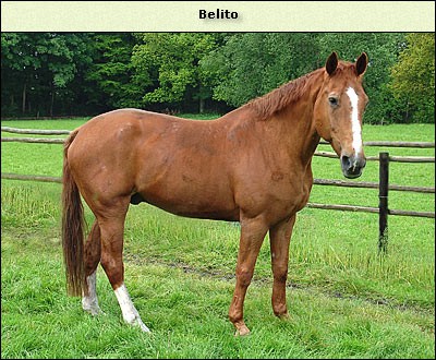 Belito