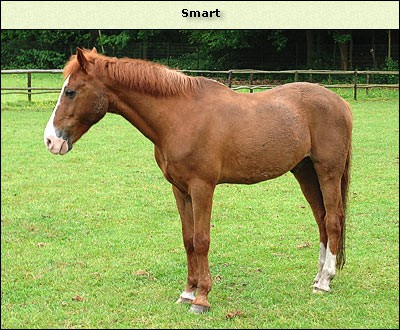 Smart