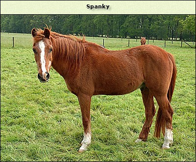 Spanky