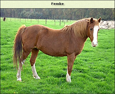 Femke