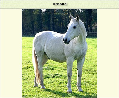 Urnand