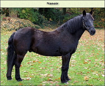 Manoir
