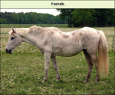 Farrah