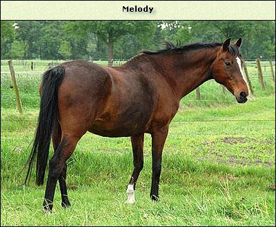 Melody