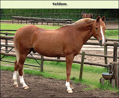 Seldom