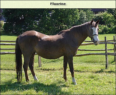 Fluorine
