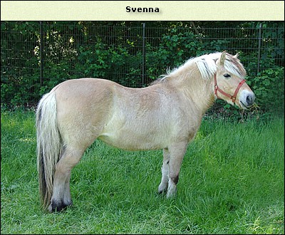 Svenna