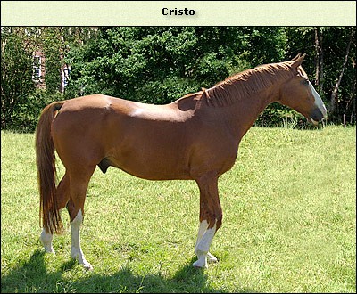 Cristo
