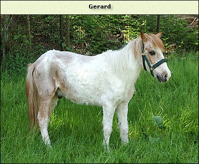 Gerard