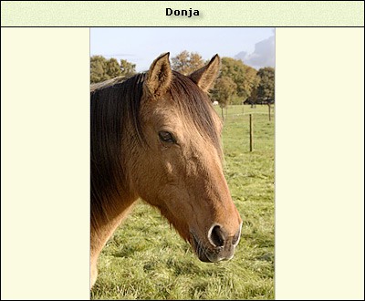 Donja