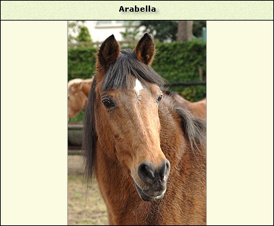 Arabella