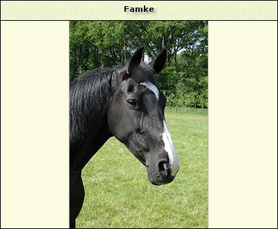 Famke