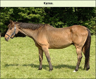 Kyros