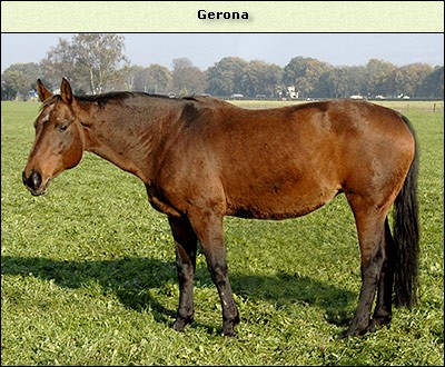 Gerona