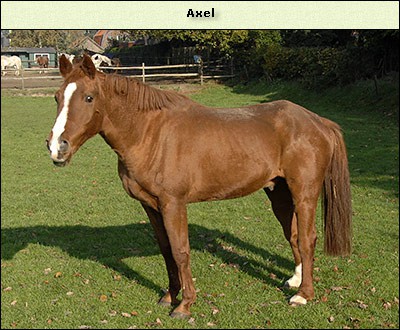 Axel