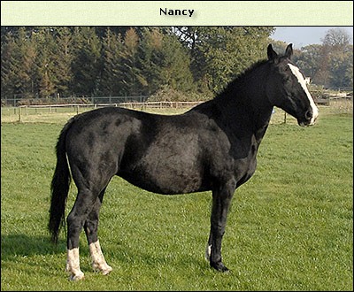 Nancy