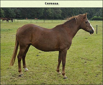 Ceressa