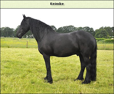 Keimke