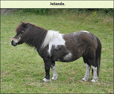 Jolanda